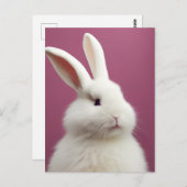 Schattig wit konijn briefkaart (Voorkant / Achterkant)