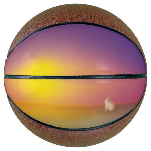 Schattig wit konijn op grasheuvel bij zonsopgang basketbal (Voorkant)