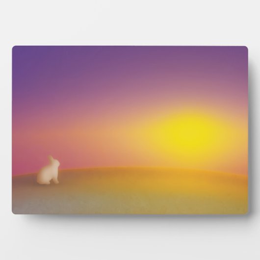 Schattig wit konijn op grasheuvel bij zonsopgang fotoplaat (voorkant)