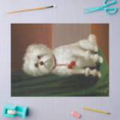 Schattig wit portret Tissuepapier (Craft)