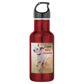 Schattig Wit Rendier Puppie Hond Foto Kerstmis  Waterfles