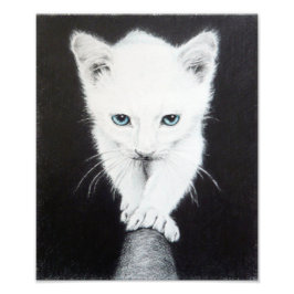 Schattig witte katje Dieren tekenkunst Kattenliefh Foto Afdruk