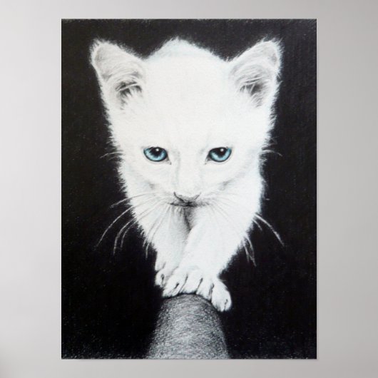 Schattig witte katje Dieren tekenkunst Kattenliefh Poster (Voorkant)