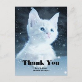 Schattig Witte Kitten met Mooie Blauwe Ogen Dank J Briefkaart