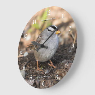 Schattig witte kroonmuskovinkzangvogel in winters grote klok