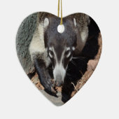 Schattig witte nosse coati keramisch ornament (Rechts)