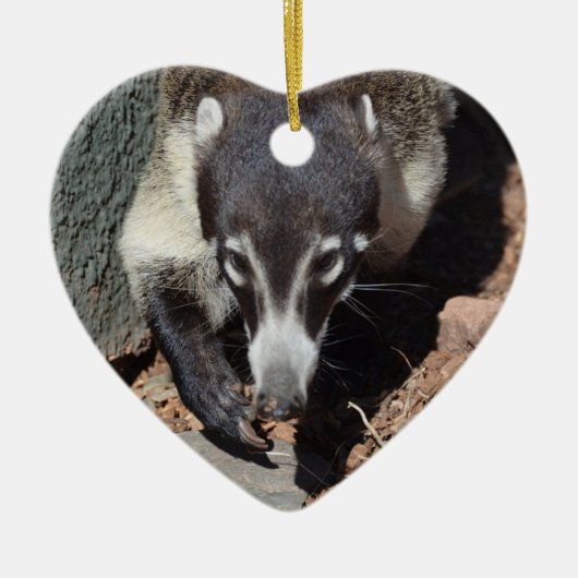 Schattig witte nosse coati keramisch ornament (Voorkant)