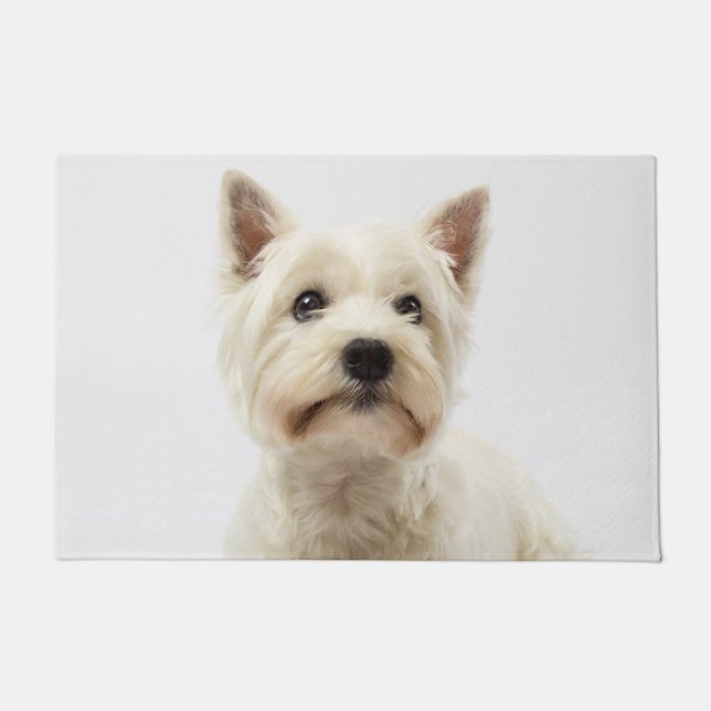 Schattig Witte West Highland Terrier Deurmat (Voorkant)