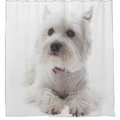 Schattig Witte West Highland Terrier Douchegordijn (Voorkant)