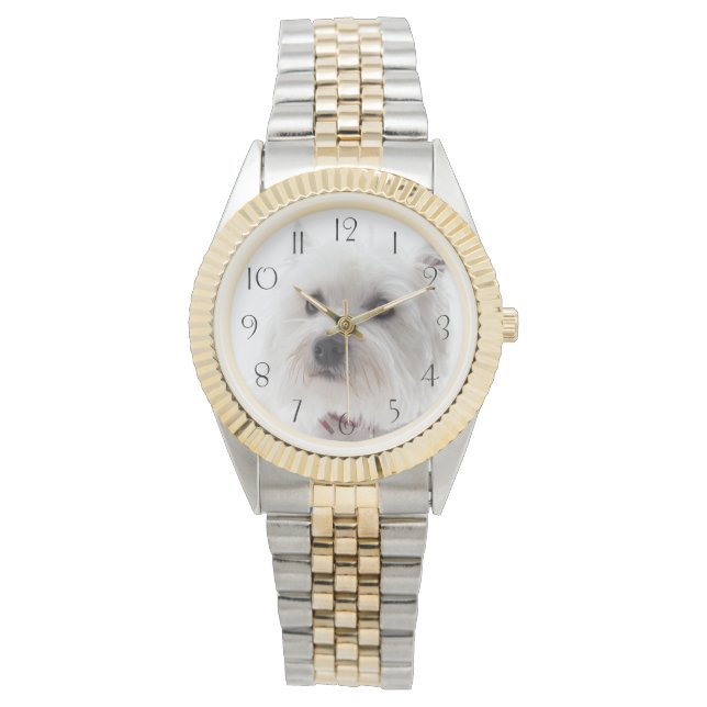 Schattig Witte West Highland Terrier Horloge (Voorkant)