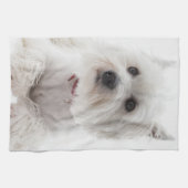 Schattig Witte West Highland Terrier Theedoek (Horizontaal)