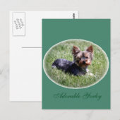 Schattig Yorkie Custom Briefkaart (Voorkant / Achterkant)