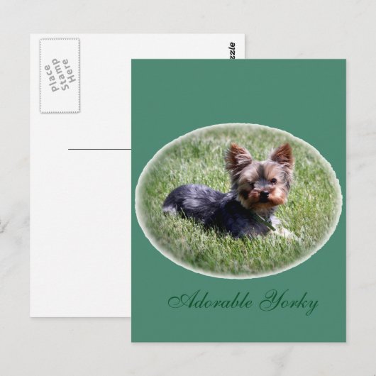 Schattig Yorkie Custom Briefkaart (Voorkant / Achterkant)