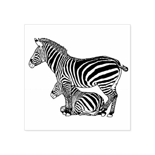 Schattig Zebra en veulen lijn tekenen Rubberstempel (Afrduk)
