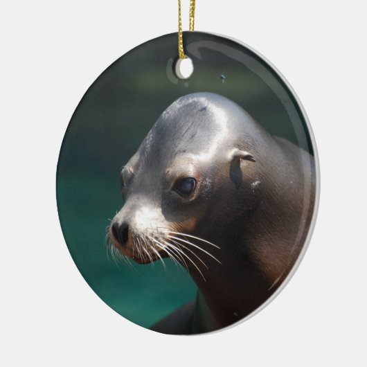 Schattig Zee Keramisch Ornament (Links)