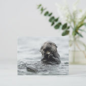 Schattig Zee Otter Briefkaart (Staand voorkant)