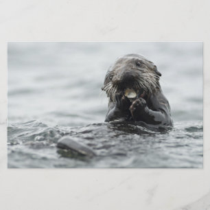 Schattig Zee Otter Briefpapier
