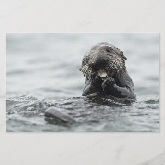 Schattig Zee Otter Briefpapier (Voorkant)