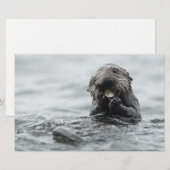 Schattig Zee Otter Briefpapier (Voorkant / Achterkant)