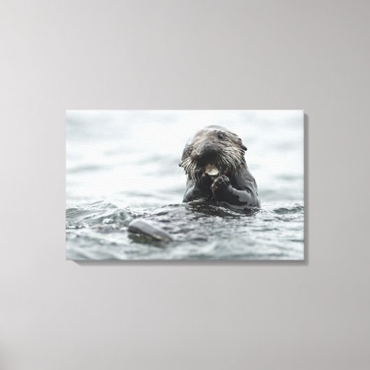 Schattig Zee Otter Canvas Afdruk (Voorkant)
