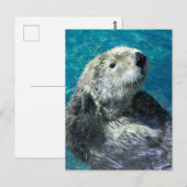 Schattig Zee Otter Cute Blue Water Briefkaart (Voorkant / Achterkant)
