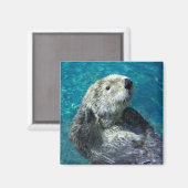 Schattig Zee Otter Cute Blue Water Magneet (Voorkant / Achterkant)