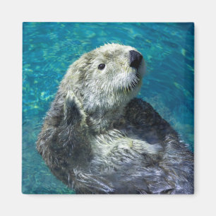 Schattig Zee Otter Cute Blue Water Magneet
