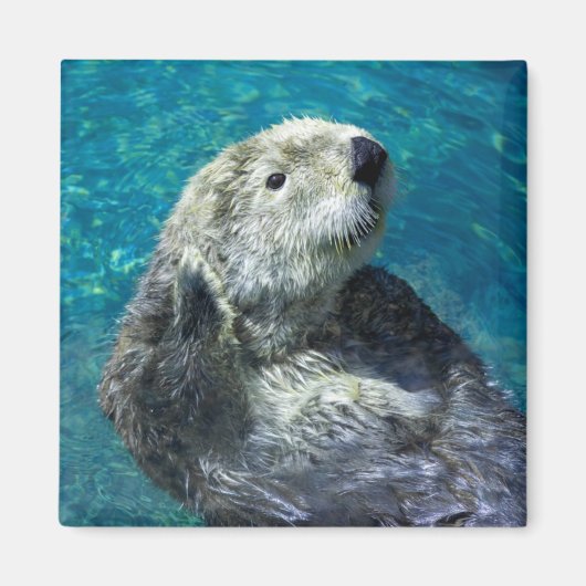 Schattig Zee Otter Cute Blue Water Magneet (Voorkant)