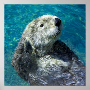 Schattig Zee Otter Cute Blue Water Poster