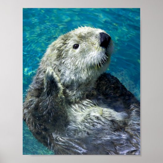 Schattig Zee Otter Cute Blue Water Poster (Voorkant)