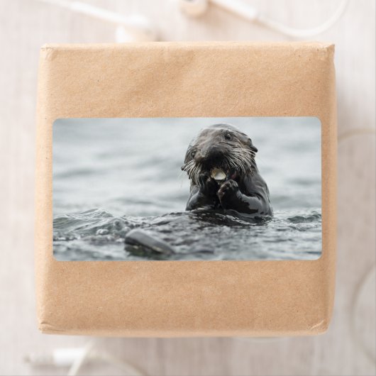 Schattig Zee Otter Etiket (Insitu)