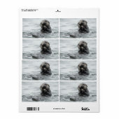 Schattig Zee Otter Etiket (Full Sheet)
