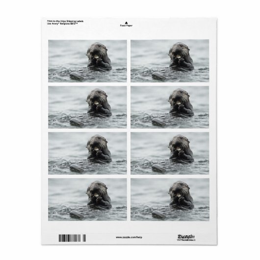 Schattig Zee Otter Etiket (Full Sheet)