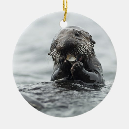 Schattig Zee Otter Keramisch Ornament (Voorkant)