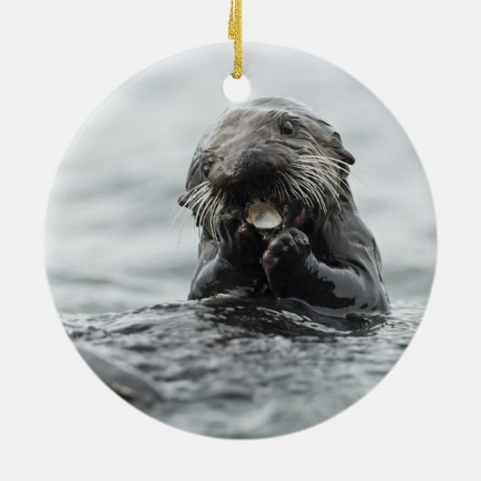 Schattig Zee Otter Keramisch Ornament (Achterkant)