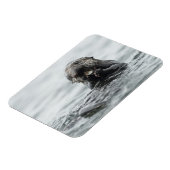 Schattig Zee Otter Magneet (Linkerzijde)