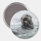 Schattig Zee Otter Magneet (Voorkant / Achterkant)