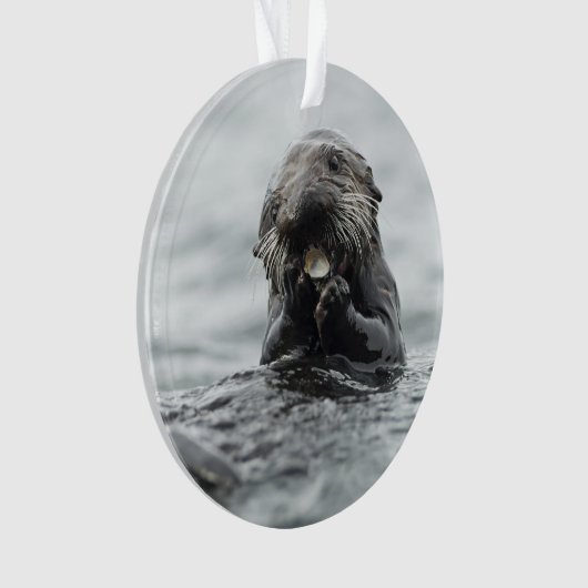 Schattig Zee Otter Ornament (voorkant)