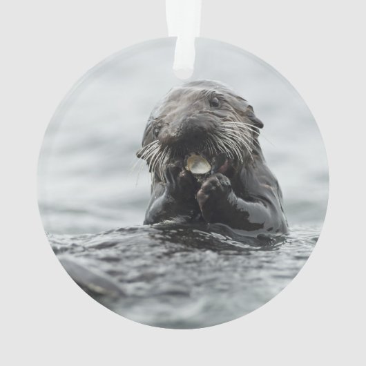 Schattig Zee Otter Ornament (achterkant)