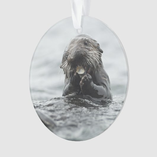 Schattig Zee Otter Ornament (voorkant)