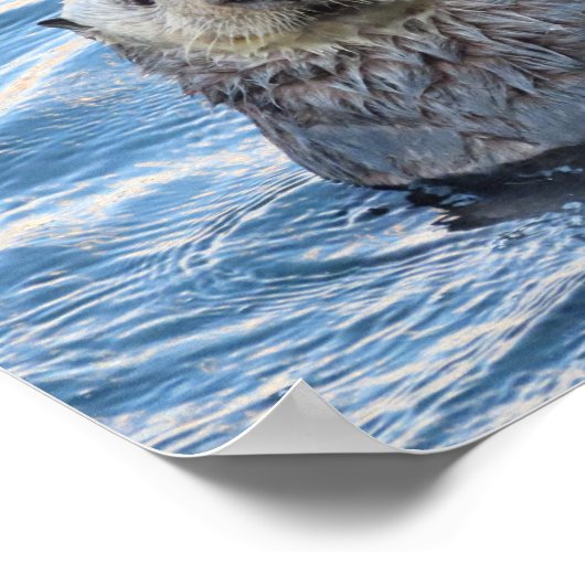 Schattig Zee Otter Peeks Poster (Hoek)