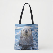 Schattig Zee Otter Peeks