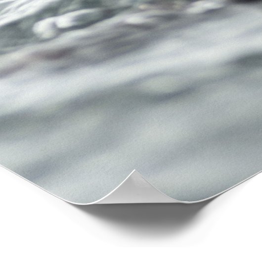 Schattig Zee Otter Poster (Hoek)