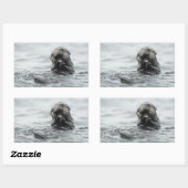 Schattig Zee Otter Rechthoekige Sticker (Vel)