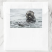 Schattig Zee Otter Rechthoekige Sticker (Tas)