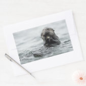 Schattig Zee Otter Rechthoekige Sticker (Envelop)