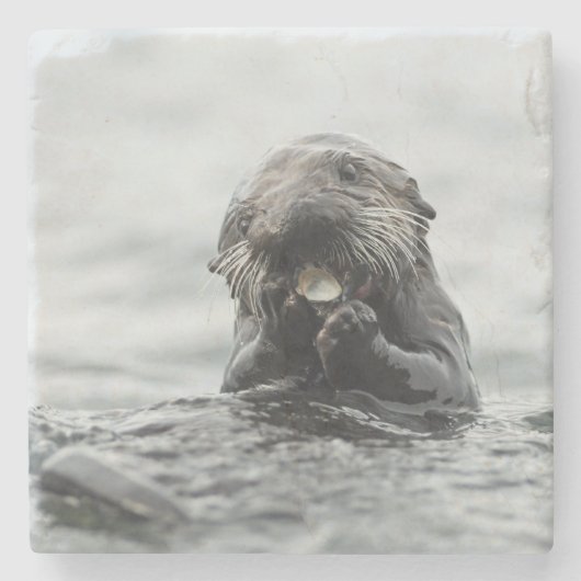 Schattig Zee Otter Stenen Onderzetter (Voorkant)