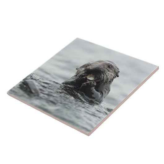 Schattig Zee Otter Tegeltje (Zijkant)