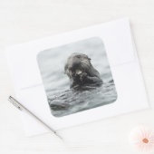 Schattig Zee Otter Vierkante Sticker (Envelop)