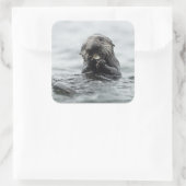 Schattig Zee Otter Vierkante Sticker (Tas)